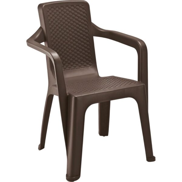 Silla Eterna Wengue C/Brazos