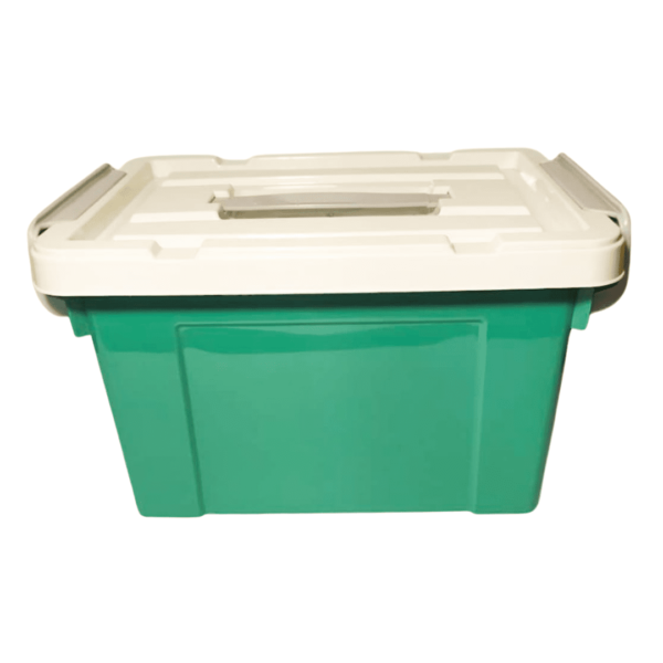 Organizador Mediano De Plástico De Colores