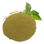 Albahaca en Polvo X 1 Kg