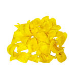 Chifle Piurano X 1 Kg