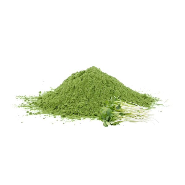Alfalfa en Polvo X 1 Kg