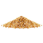 Grano de Mostaza X 1 Kg